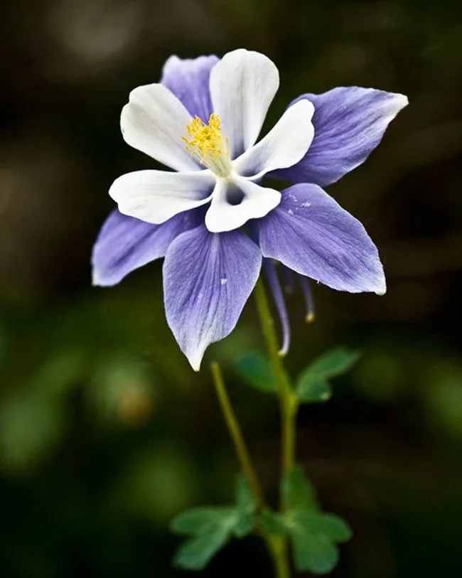 lieu110589